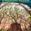 summer 2024 newsletter from watershed management group