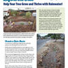 Plant the Water Before the Tree - Help Your Tree Grow and Thrive with Rainwater cover