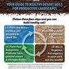 Your guide to healthy desert soils for productive landscapes