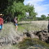 Cienega Creek Restoration Workshop