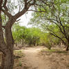 A path through the Isabella Lee Nature Preserve.