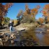 Embedded thumbnail for 200+ days of flow in Sabino Creek!