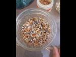 Embedded thumbnail for Seed Saving